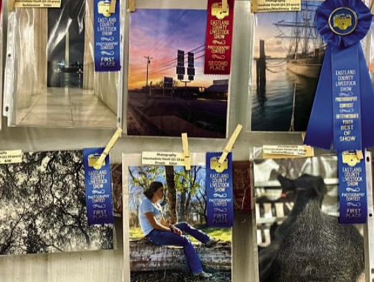 2024 Eastland County Creative Arts Contest – Get Your Entries Ready