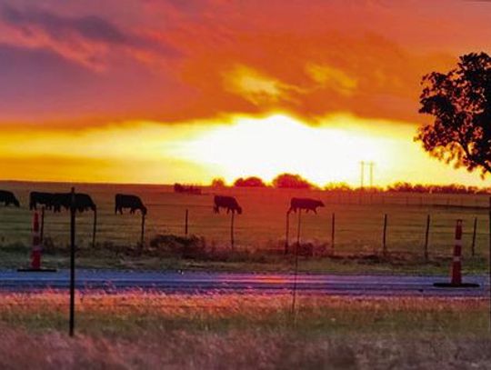 ALONG HWY 6 IN EASTLAND COUNTY: