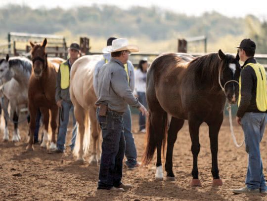 Cisco College CDE Invitational Draws 2,000 Statewide Contestants
