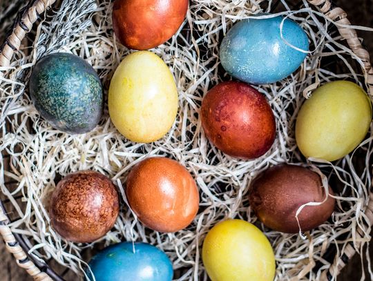 Cisco Writers Club Rendezvous With Writing