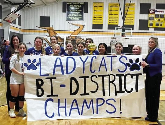 Congratulations to Rising Star Lady Cats!