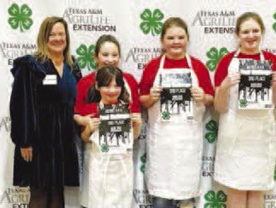 District 8 4-H Food Show Results