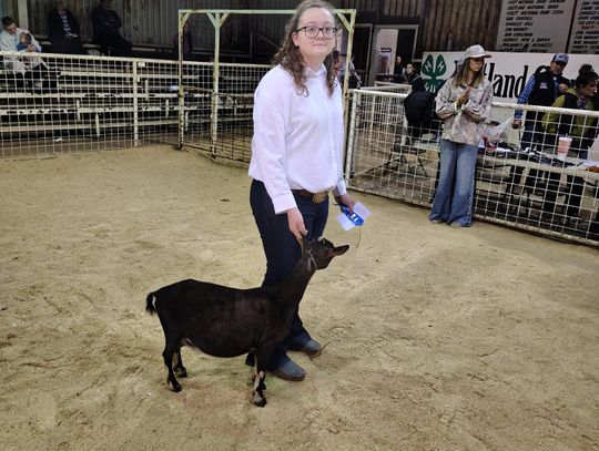 Eastland County 2026 Livestock Show
