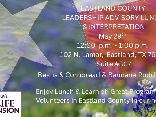 Eastland County Leadership Advisory Lunch & Interpretation May 29