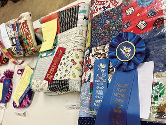 EASTLAND COUNTY LIVESTOCK SHOW BEST OF SHOW - CREATIVE ARTS