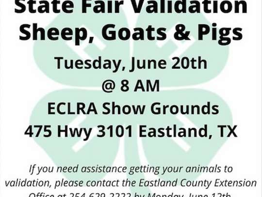 EC 4-H State Fair Validation Sheep, Pigs, Goats June 20 