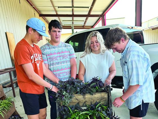 EHS Ag/FFA Students hold Big Fundraiser