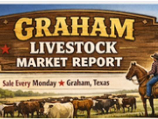 Graham Livestock Market Report