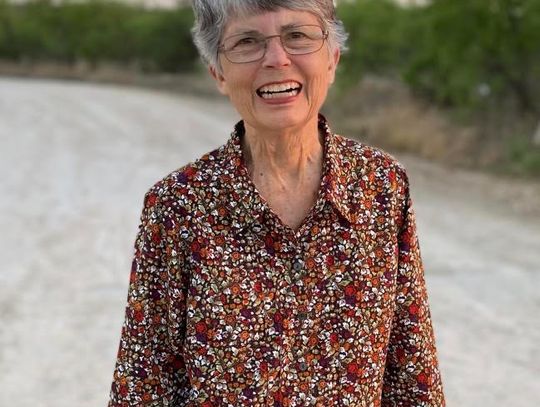 Judith Ann Sitton Ware Obituary