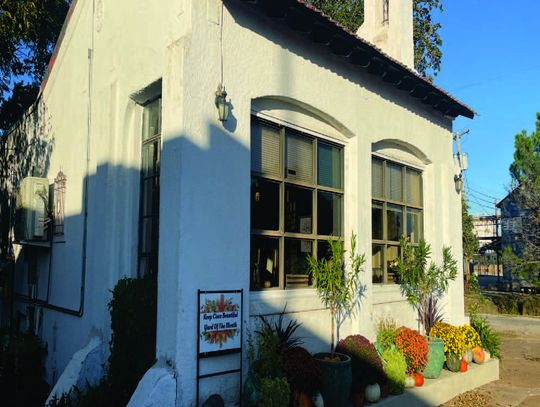 Keep Cisco Beautiful