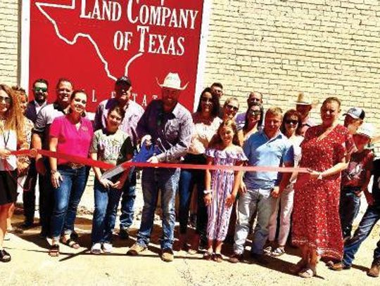 LAND COMPANY OF TEXAS