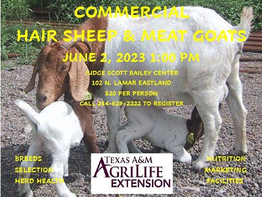 SHEEP AND GOAT PRODUCTION CLINIC FRIDAY, JUNE 2   