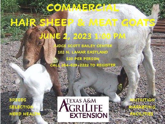 SHEEP AND GOAT PRODUCTION CLINIC FRIDAY, JUNE 2