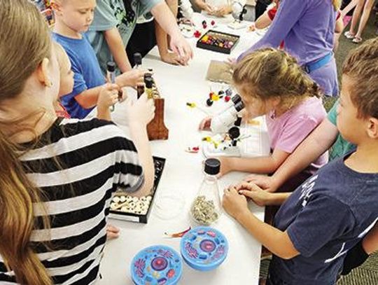 Summer at the Eastland Library