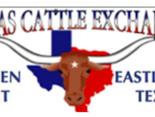 Texas Cattle Exchange Market Report