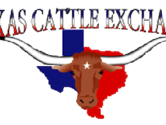 Texas Cattle Exchange Market Report