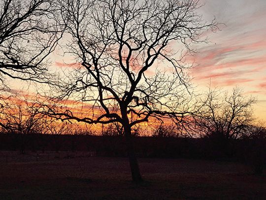 Warm Days, Beautiful Sunsets enjoyed in late Winter