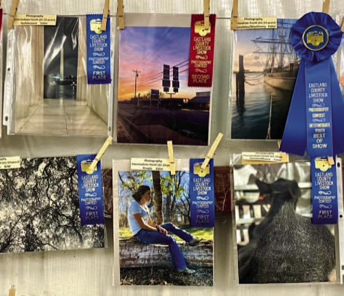 2024 Eastland County Creative Arts Contest – Get Your Entries Ready