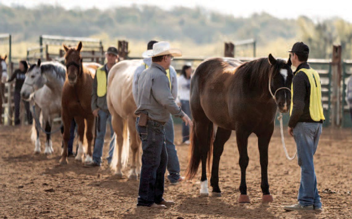 Cisco College CDE Invitational Draws 2,000 Statewide Contestants
