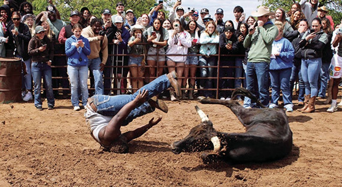 Cisco College Wrangler Express wins award