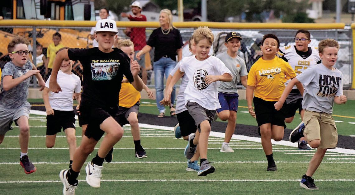 Cisco Lobo Little Howlers