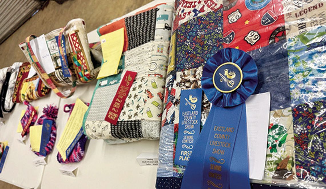 EASTLAND COUNTY LIVESTOCK SHOW BEST OF SHOW - CREATIVE ARTS