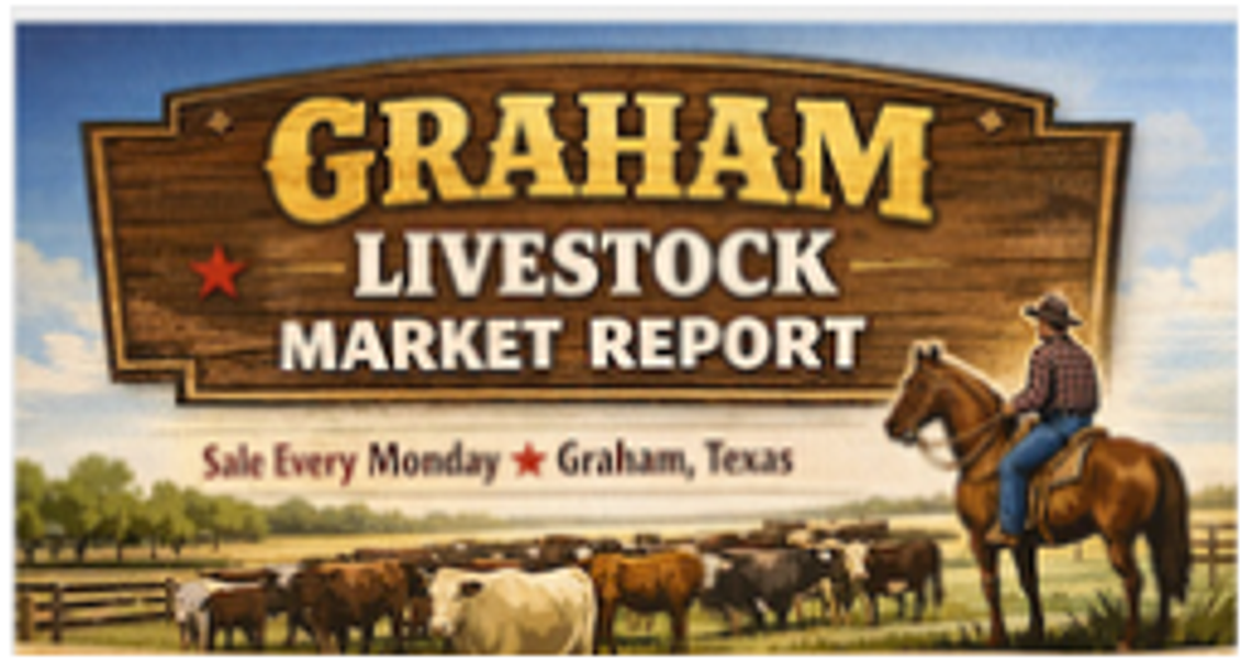 Graham Livestock Market Report Graham Livestock Market Report