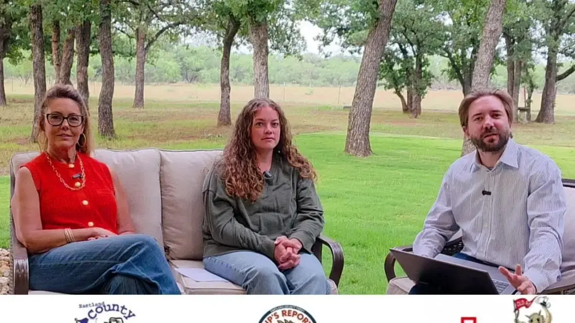 Rips Report: Eastland County Solar Farm Petition -Melissa (Reeves) Bilby & Stephanie Alexander Rips Report: Eastland County Solar Farm Petition -Melissa (Reeves) Bilby & Stephanie Alexander
