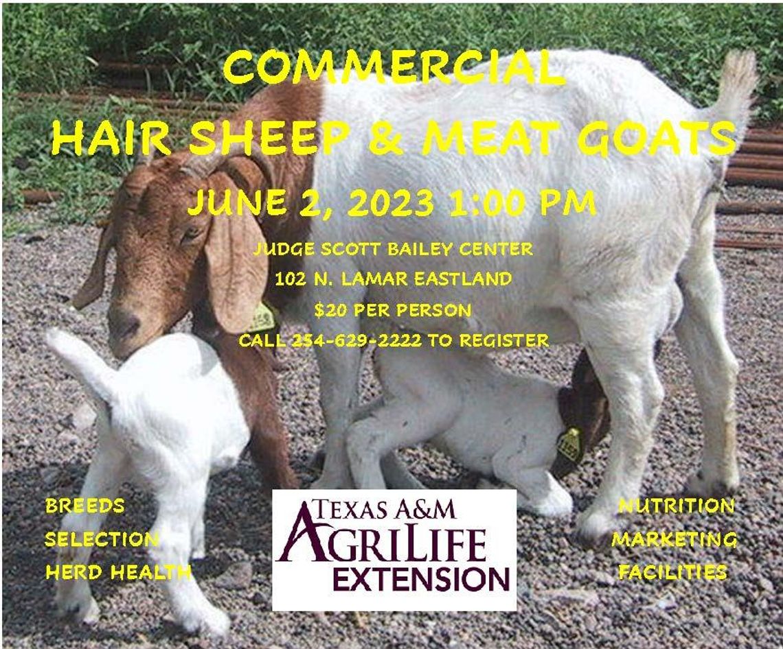 SHEEP AND GOAT PRODUCTION CLINIC FRIDAY, JUNE 2   