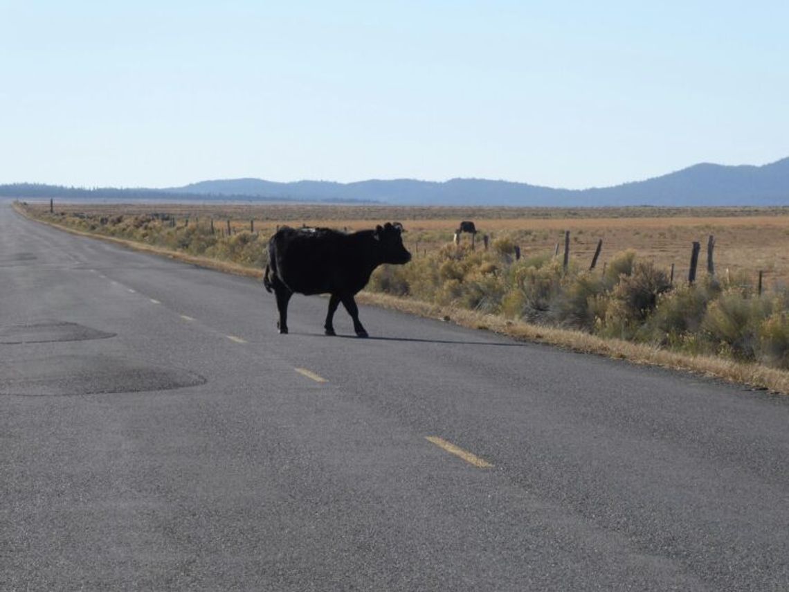 Texas Agriculture Law Blog by Tiffany Lashmet Texas Agriculture Law Blog by Tiffany Lashmet