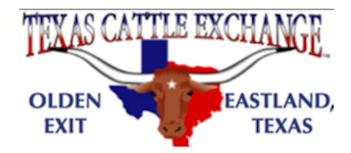 Texas Cattle Exchange Market Report Texas Cattle Exchange Market Report