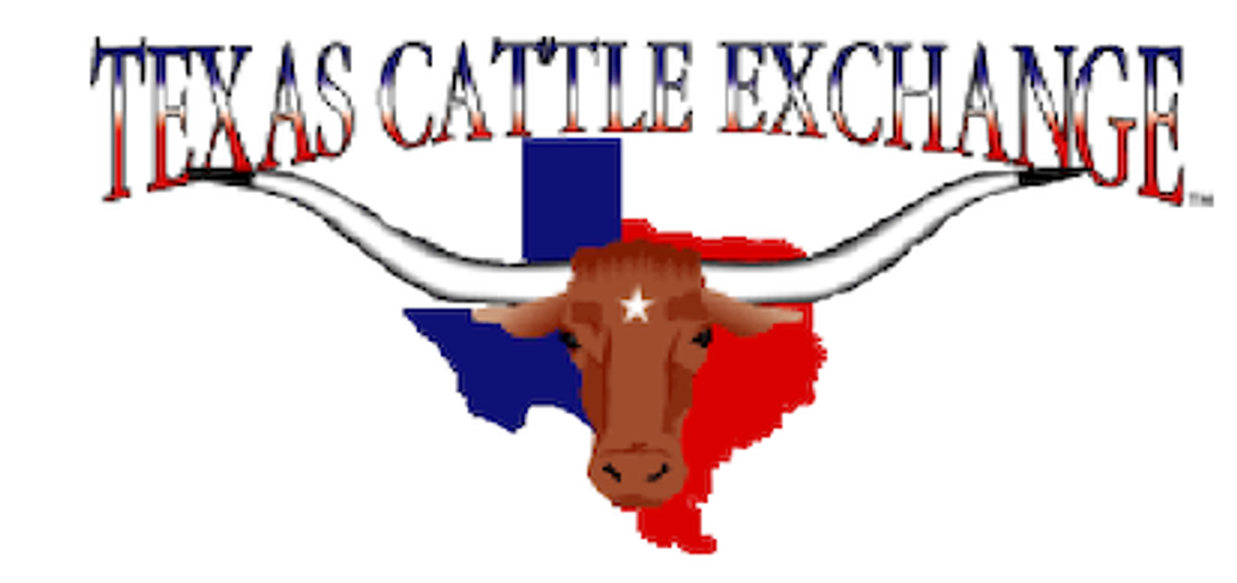 Texas Cattle Exchange Market Report Texas Cattle Exchange Market Report