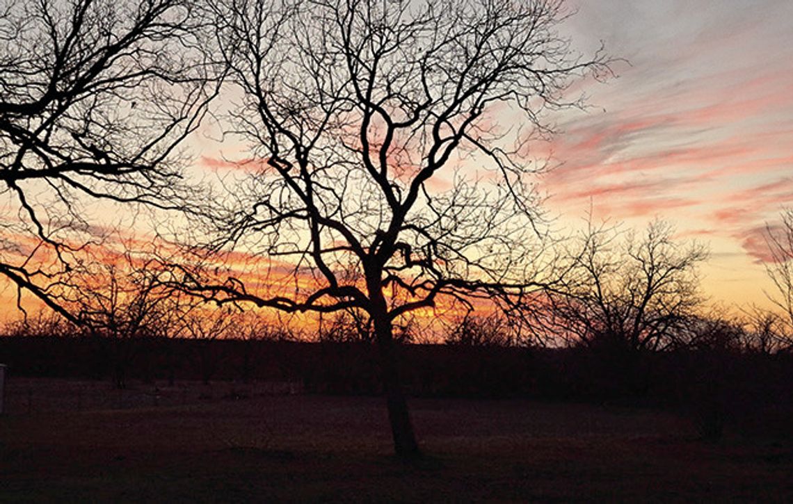 Warm Days, Beautiful Sunsets enjoyed in late Winter