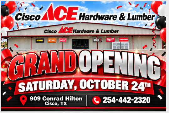 Ace Hardware