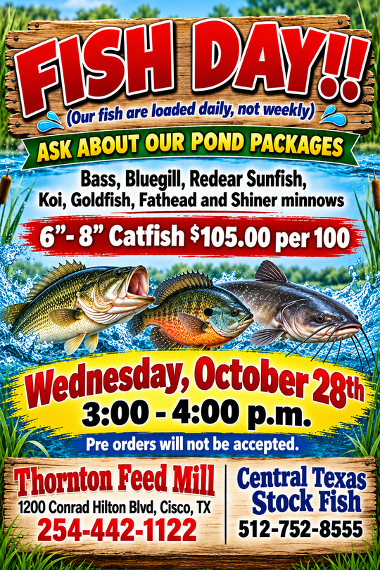 Fish Day