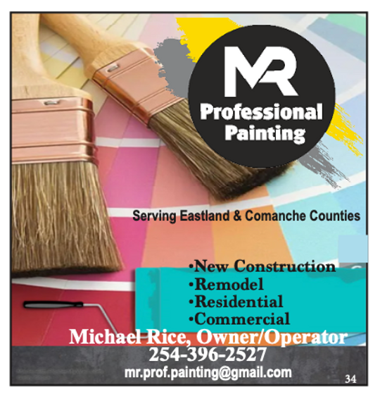 MR Professional Painting