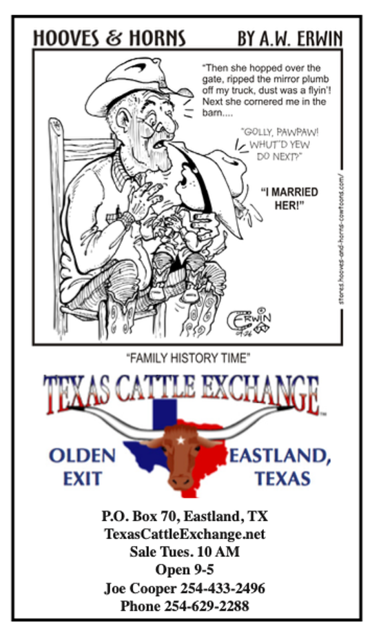 Texas Cattle Exchange