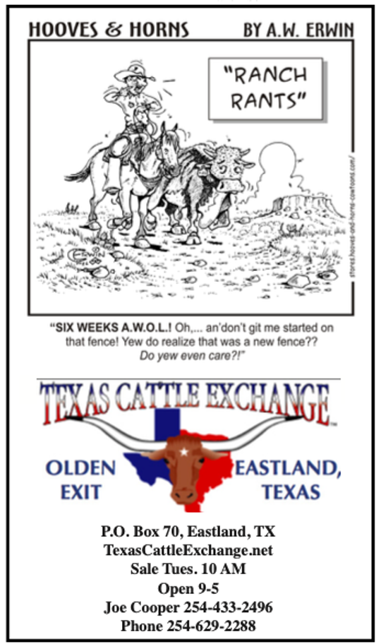 Texas Cattle Exchange
