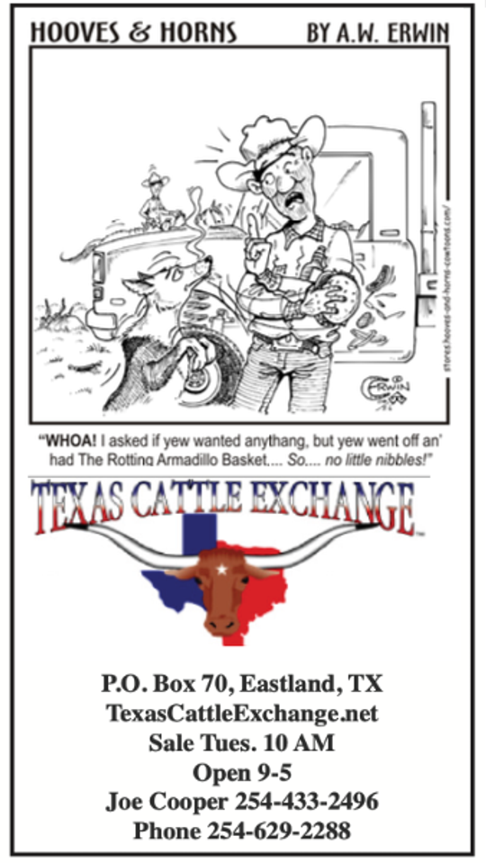 Texas Cattle Exchange